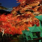 神奈川県大山寺の紅葉の見頃は？見所やアクセスをチェック！